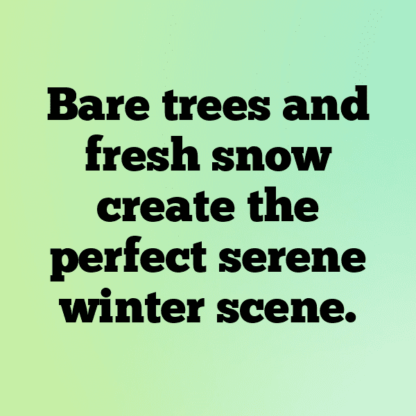 Snowberry Captions Photo For Instagram-MHR1cJ