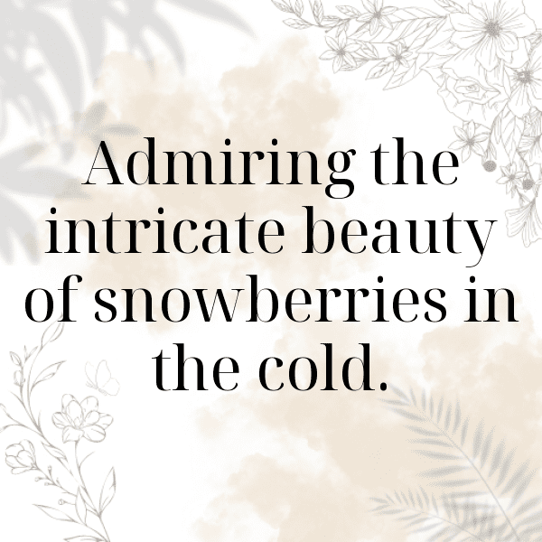 Snowberry Captions Photo For Instagram-UX9URq