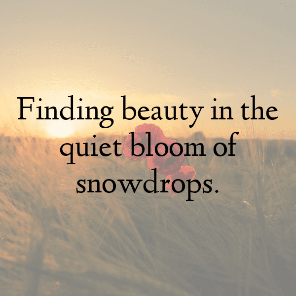 Snowdrop Captions Image For Instagram-8hASku