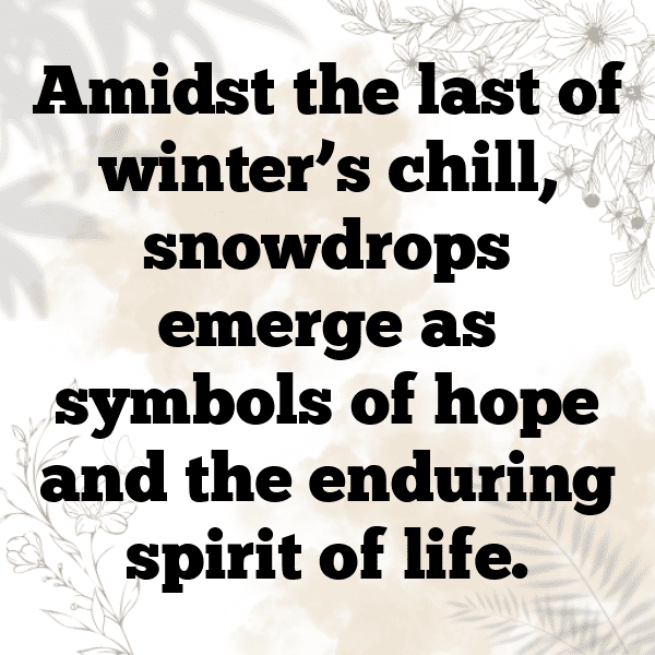 Snowdrop Captions Image For Instagram-XbE2h5