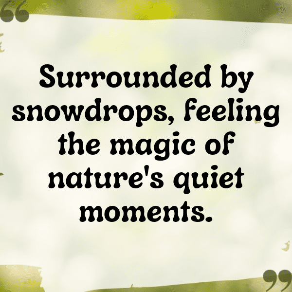 Snowdrop Captions Image For Instagram-zDIPWj