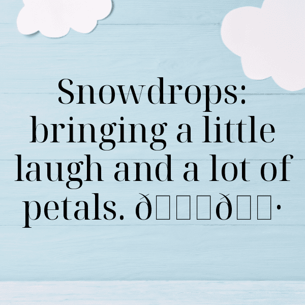 Snowdrop Captions Photo For Instagram-dETQzC