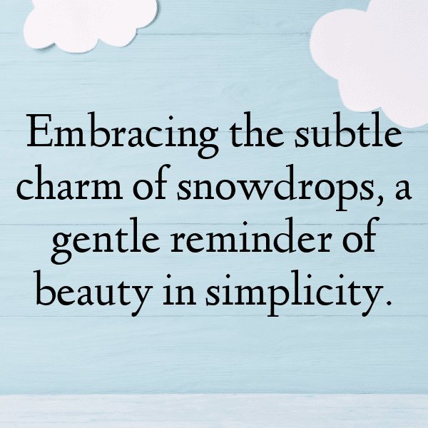 Snowdrop Captions Photo For Instagram-fJcnIj