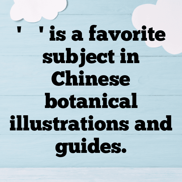 Snowdrop Captions Photo For Instagram-ZvSrRT