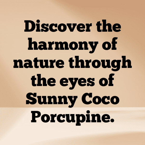 Soncoya Captions Image For Instagram-gEtNCL