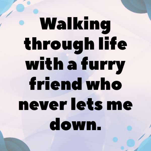 Sonic the Hedgehog Captions Image for Instagram-VZb3pd