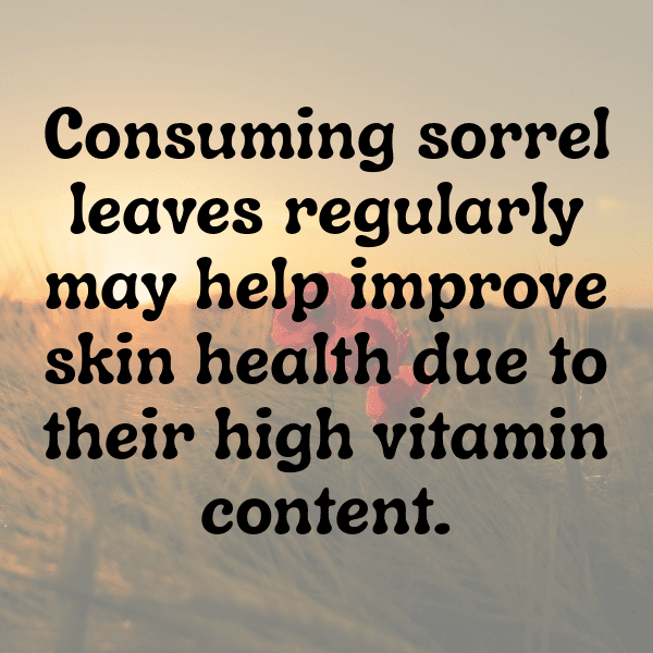 Sorrel Captions Image For Instagram-xCNyCF