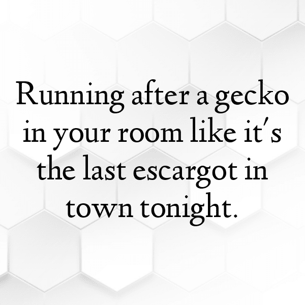 South Africa Captions Image For Instagram-qE51gm