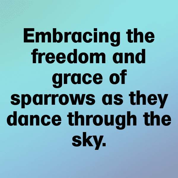 Sparrow Captions Image For Instagram-5bZucE