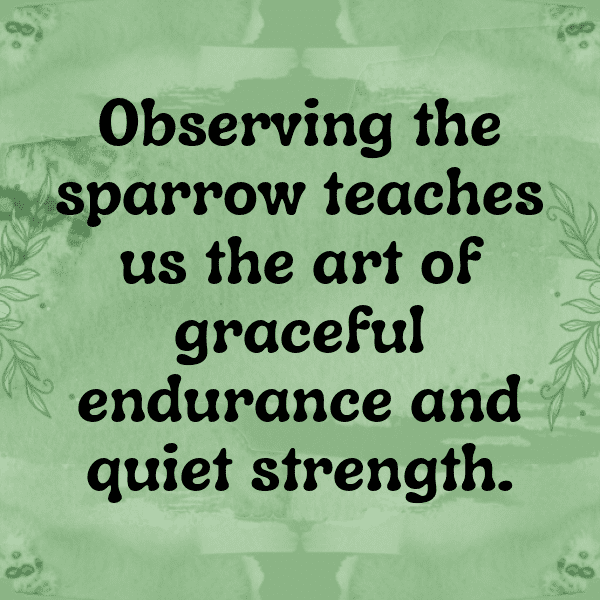 Sparrow Captions Image For Instagram-I92gat