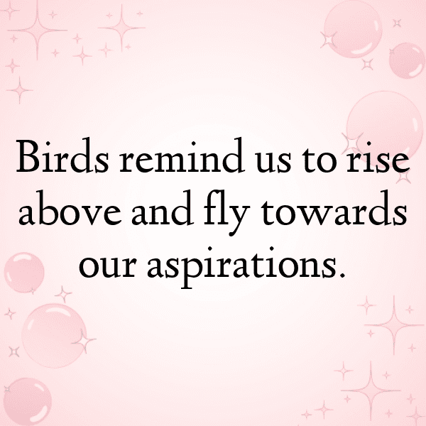 Sparrow Captions Image For Instagram-nKSohg