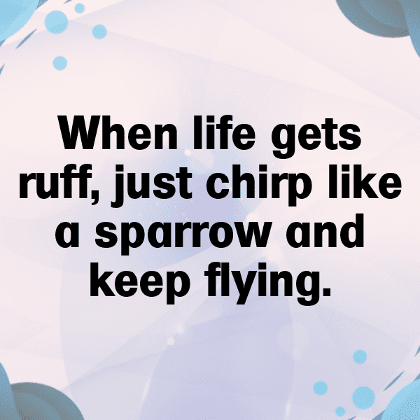 Sparrow Captions Photo For Instagram-3NARWV