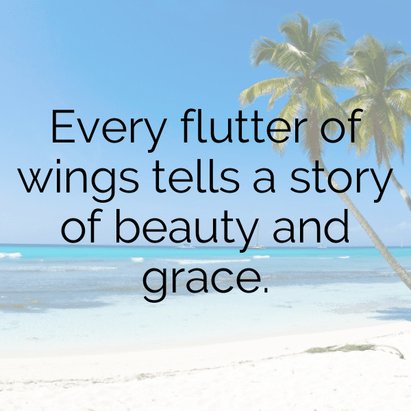 Sparrow Captions Photo For Instagram-CF9Qbj