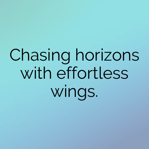 Sparrow Captions Photo For Instagram-lmey9z