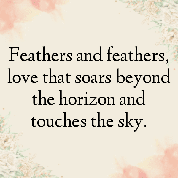 Sparrow Captions Photo For Instagram-MoYyYq