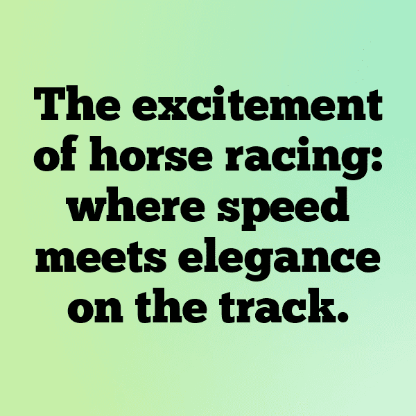 Speedway Captions Photo for Instagram-nZ9y3Y