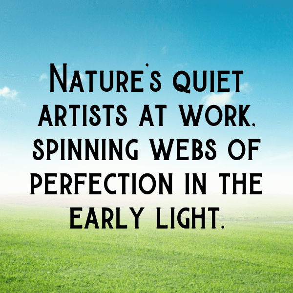 Spider Captions Image For Instagram-agOKY7