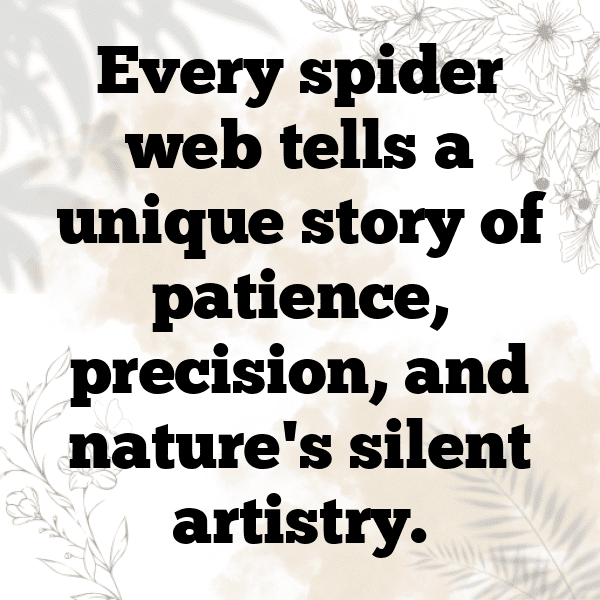 Spider Captions Image For Instagram-CRQZr6