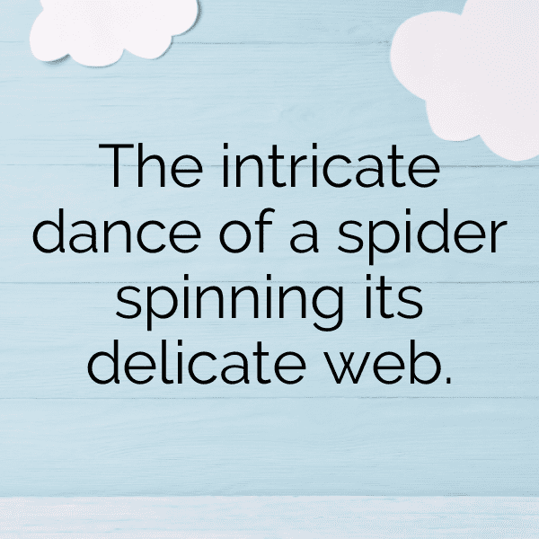 Spider Captions Image For Instagram-nGrWA0