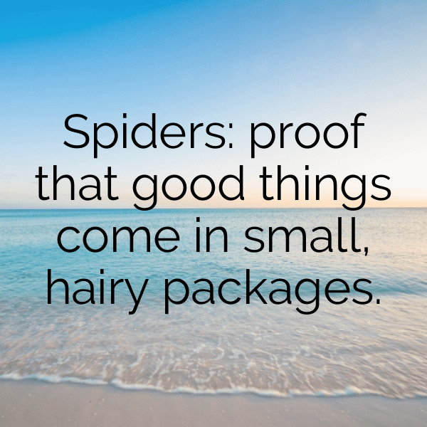 Spider Captions Image For Instagram-VoqQg5