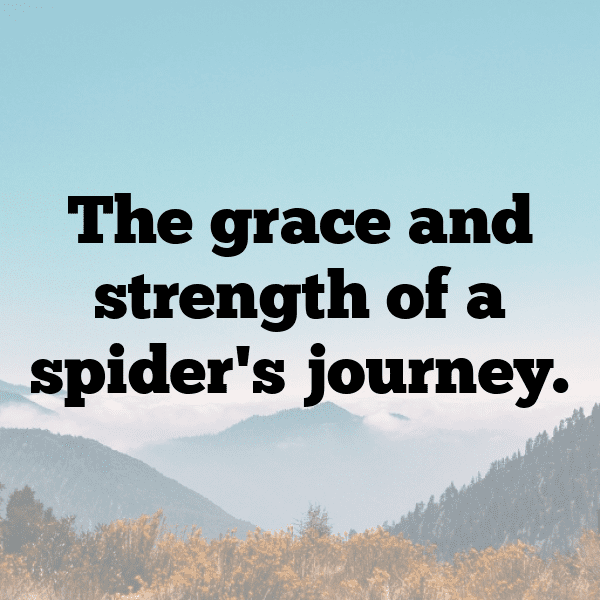 Spider Captions Image For Instagram-zLlgYF