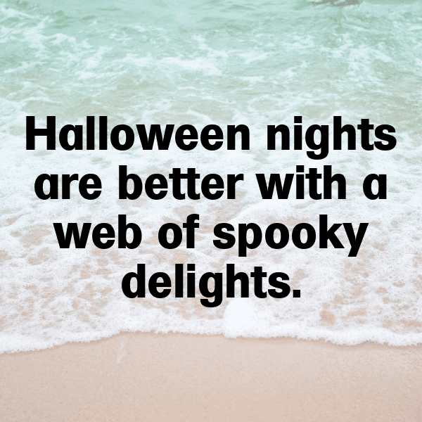 Spider Captions Photo For Instagram-ENI5sO