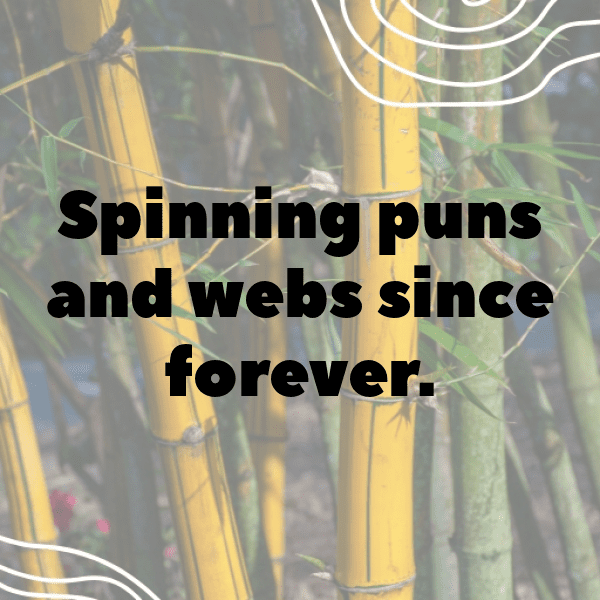 Spider Captions Photo For Instagram-kZw9lq