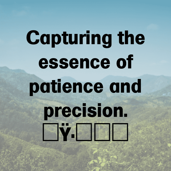 Spider Captions Photo For Instagram-sV0sgA