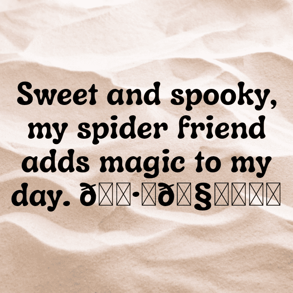 Spider Captions Photo For Instagram-t1OtJf