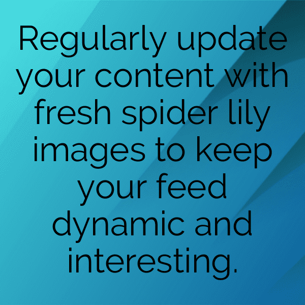 Spider Lily Captions Image For Instagram-Xgmkou