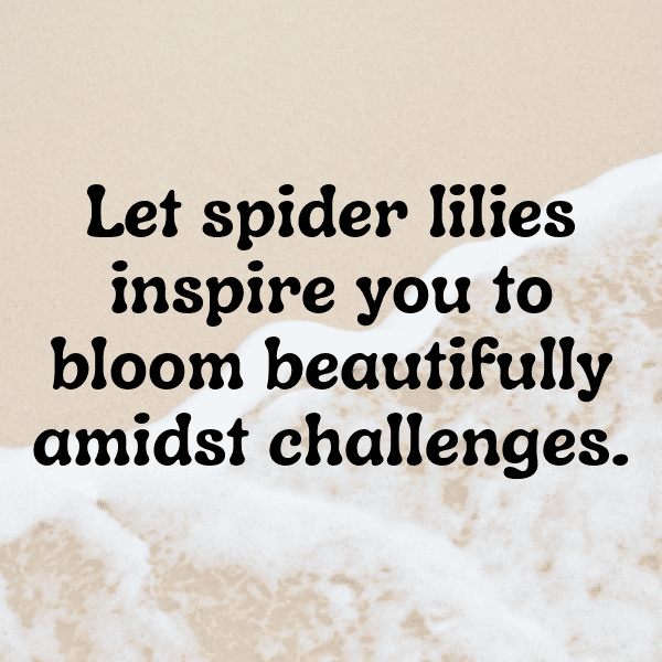 Spider Lily Captions Photo For Instagram-vHwkcJ
