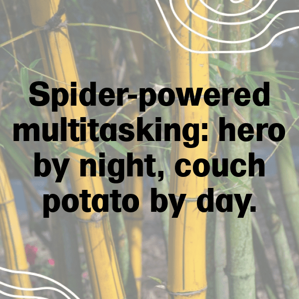 Spiderman Captions Image for Instagram-jCYwH8