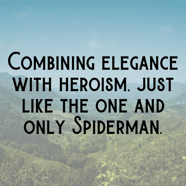 Spiderman Captions Photo for Instagram-LTgEeR