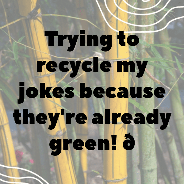 Spinach Captions Photo For Instagram-o7sSyR