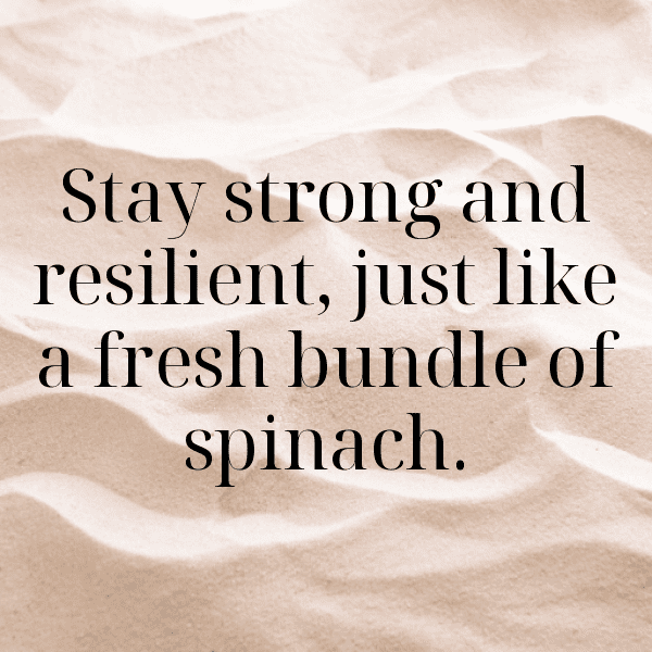 Spinach Captions Photo For Instagram-zbzDww