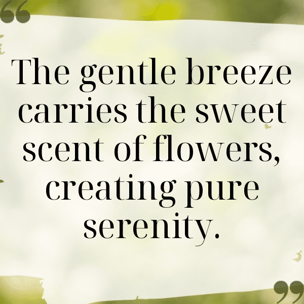 Spring Blossom Captions Image for Instagram-l5IsWn