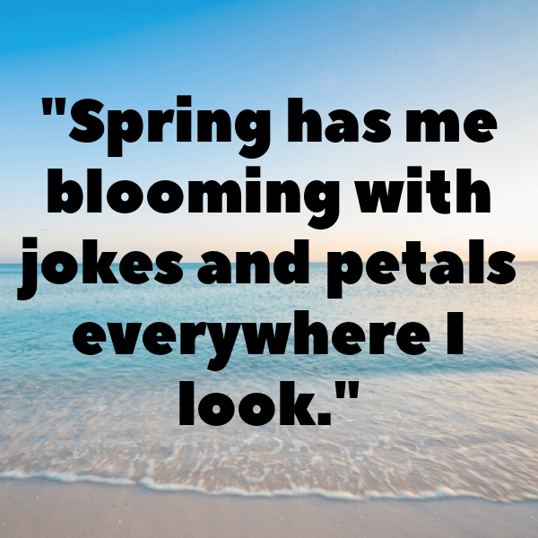 Spring Blossom Captions Image for Instagram-MbTECj