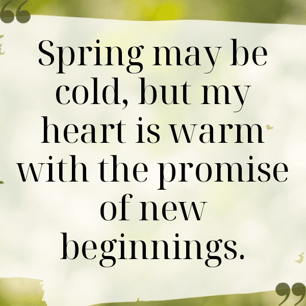 Spring Blossom Captions Image for Instagram-NHtM80