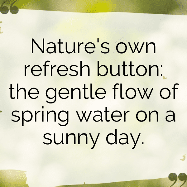 Spring Blossom Captions Image for Instagram-pdS4ld