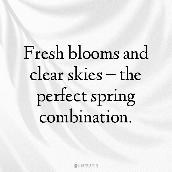 Spring Blossom Captions Image for Instagram-su7dlt