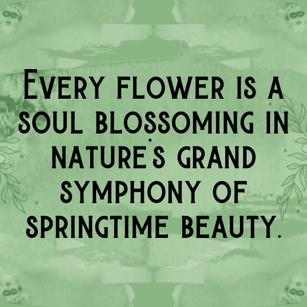 Spring Blossom Captions Photo for Instagram-CjEiHW