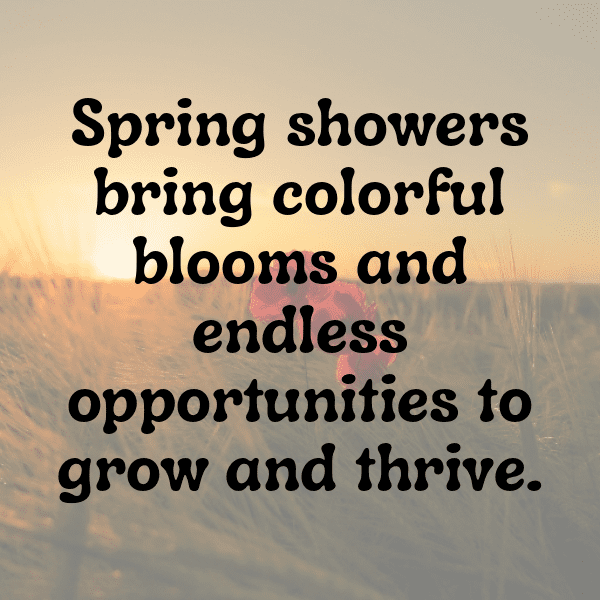 Spring Blossom Captions Photo for Instagram-CVvDS0