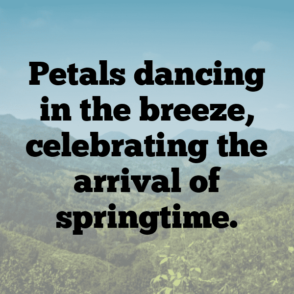 Spring Blossom Captions Photo for Instagram-k3AY4S