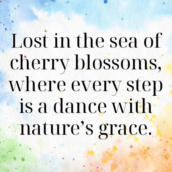 Spring Blossom Captions Photo for Instagram-uqTB7m