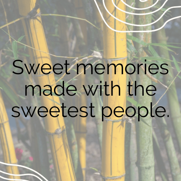 Squash Captions Image For Instagram-pARgTT