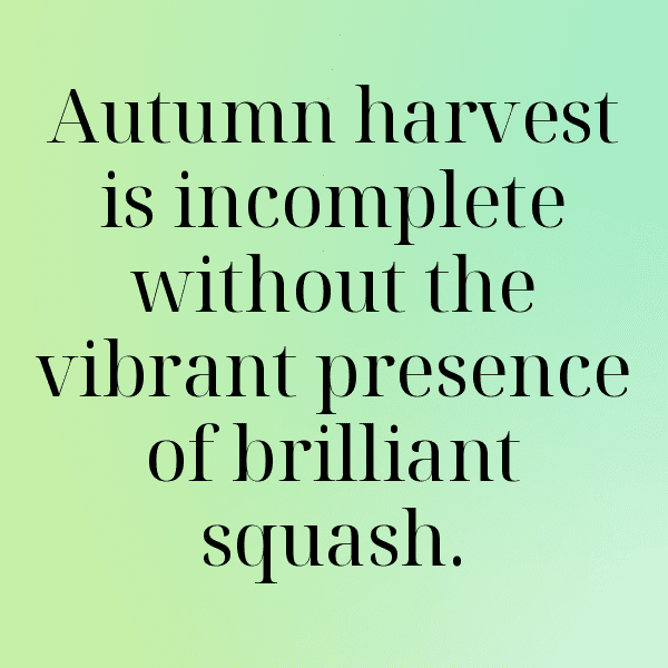 Squash Captions Photo For Instagram-UvlMUX