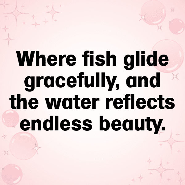 Squid Captions Image For Instagram-tCCMmF