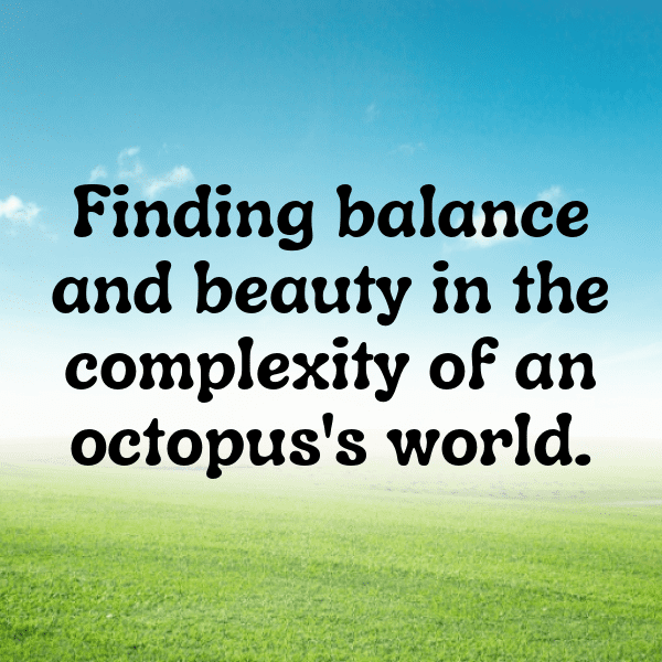 Squid Captions Photo For Instagram-WZuHg6