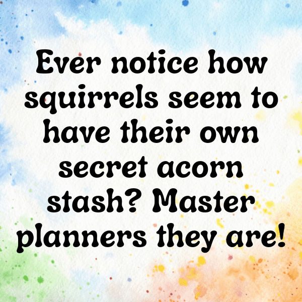 Squirrel Captions Image For Instagram-7SYaoc