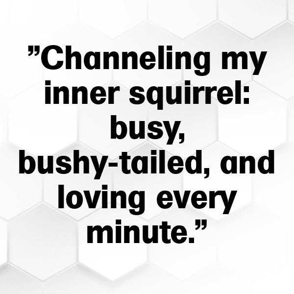 Squirrel Captions Image For Instagram-tfKNP4
